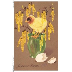 ASHP16-1033-ANIMAUX - JOYEUSES PAQUE - OISILLON SORTANT DE SON ENVELOPPE SUR UN POT