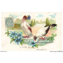 ASHP16-1035-ANIMAUX - DEUX COLOMBES SUR UN MUR ET FLEURS