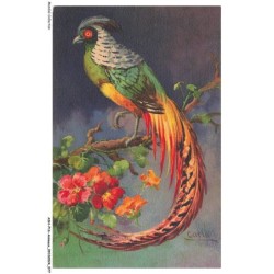 ASHP16-1024-ANIMAUX - UN OISEAU MULTICOLORE SUR UNE BRANCHE AVEC DES FLEURS