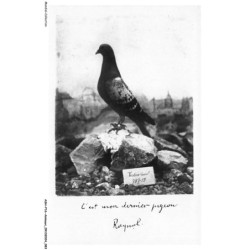 ASHP16-1027-ANIMAUX - COLOMBOGRAMME DU COMMANDANT RAYNAL - DEFENSEUR DU FORT DE VAUX