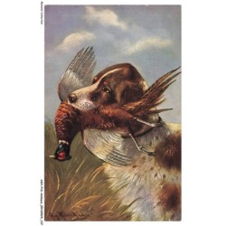 ASHP16-1054-ANIMAUX - OISEAU CAPTURE PAR UN CHIEN