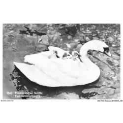 ASHP16-1057-ANIMAUX - PROMENADE EN FAMILLE - CANARD ET CANARDEAUX