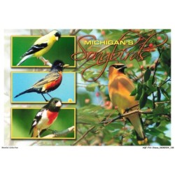 AQFP16-1148-OISEAU - michigan's songbirds