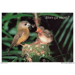 AQFP16-1144-OISEAU - le don de nourriture