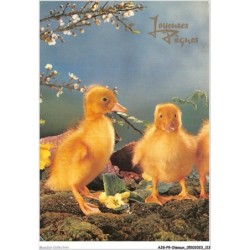 AJGP9-0839 - OISEAUX - JOYEUSES PAQUES