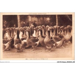 AJGP10-0844 - OISEAUX - UNE FAMILLE EN VILLEGIATURE