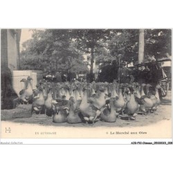 AJGP10-0847 - OISEAUX - LE MARCHE AUX OIES
