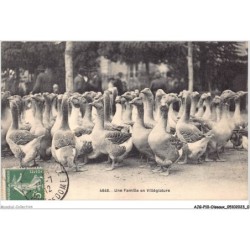 AJGP10-0843 - OISEAUX - UNE FAMILLE EN VILLEGIATURE