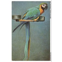 AWPP14-0838-ANIMAUX - Oiseau - Perroquet
