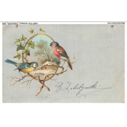 AWPP14-0841-ANIMAUX - Oiseaux
