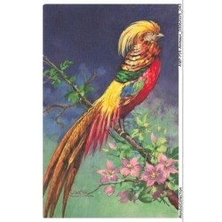 AWPP14-0835-ANIMAUX - Oiseau