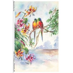 AWPP14-0834-ANIMAUX - Oiseaux