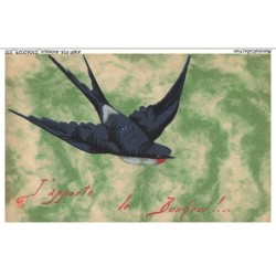 AWPP14-0829-ANIMAUX - Oiseau