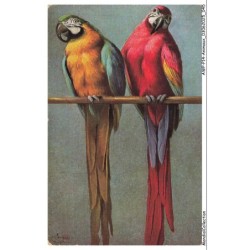 AWPP14-0836-ANIMAUX - Oiseaux - Perroquets