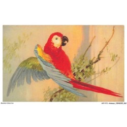 AVYP11-0733-ANIMAUX - Oiseau