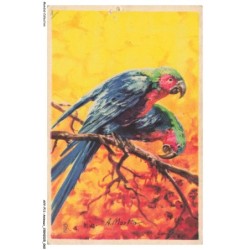 AVYP11-0732-ANIMAUX - Oiseaux