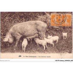 AIDP5-ANIMAUX-0389 - nos campagnes - une heureuse famille