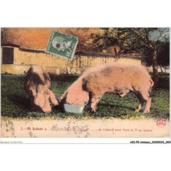 AIDP5-ANIMAUX-0387 - en ballade