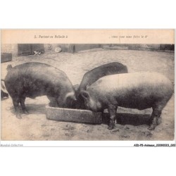 AIDP5-ANIMAUX-0395 - portant en ballade â - vient avec nous faire le 4e - l'abeille