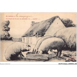 AIDP5-ANIMAUX-0398 - en ballade â la campagne - on compte sur toi pour un quatrième â la manille