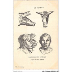 AIDP7-ANIMAUX-0679 - le cochon - resemblances animales d'après le brun et porta