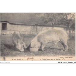 AIDP5-ANIMAUX-0390 - en ballade â morly - on t'attend pour faire la bombe