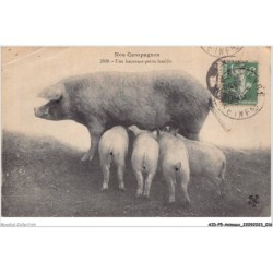 AIDP5-ANIMAUX-0393 - nos campagnes - une heureuse petite famille
