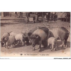 AIDP5-ANIMAUX-0417 - nos campagnes - un groupe primé