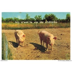 ATAP15-1072-ANIMAUX - Ici c'est la vie de chateau