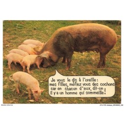 ATAP15-1065-ANIMAUX - Porcs - Je vous le dis a l'oreille