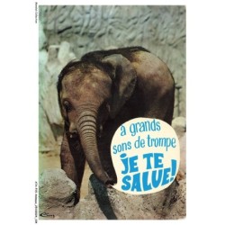 ATAP15-1066-ANIMAUX - Animaux humoristiques - Un elephant