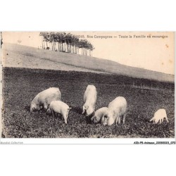 AIDP5-ANIMAUX-0420 - nos campagnes - toute la famille en excursion