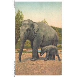 ATAP15-1079-ANIMAUX - Elephant et son petit