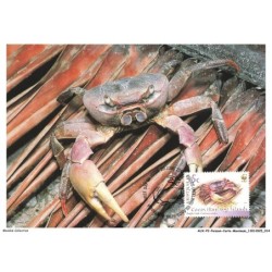 AUXP2-0062-POISSON-CARTE-MAXIMUM - CRABE TERESTRE VIOLET