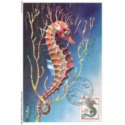 AUXP2-0060-POISSON-CARTE-MAXIMUM - HIPPOCAMPUS GUTTULATUS