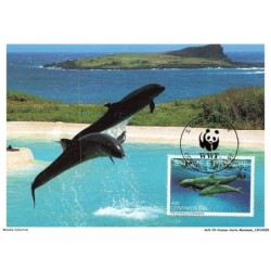 AUXP2-0055-POISSON-CARTE-MAXIMUM - PSEUDORACA CRASSIDENS - FALSE KILLER WHALE