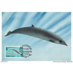 AUXP2-0057-POISSON-CARTE-MAXIMUM - FOROYAR - SOWERBY'Y BEAKED WHALE