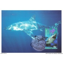 AUXP2-0058-POISSON-CARTE-MAXIMUM - WHITE POINTER SHARK