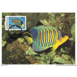 AUXP2-0065-POISSON-CARTE-MAXIMUM - MALDIVES - REGAL ANGELFISH