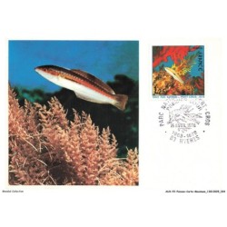 AUXP2-0072-POISSON-CARTE-MAXIMUM - PARC NATIONAL - PORT CROS