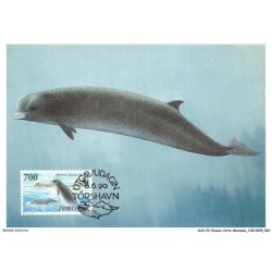 AUXP2-0056-POISSON-CARTE-MAXIMUM - NORTHERN BOTTLENOSE WHALE