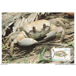 AUXP2-0061-POISSON-CARTE-MAXIMUM - CRABE-FANTOME A PINCE LISSE