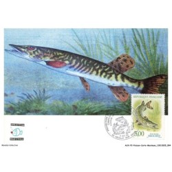 AUXP2-0102-POISSON-CARTE-MAXIMUM - BROCHET