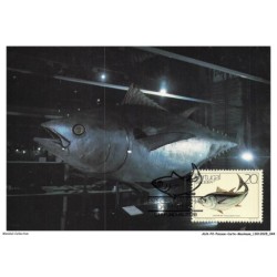 AUXP2-0077-POISSON-CARTE-MAXIMUM - ATUM PATUDO