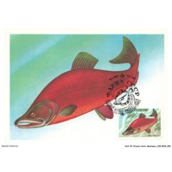AUXP2-0083-POISSON-CARTE-MAXIMUM - SAUMON ROUGE