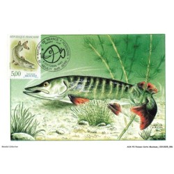 AUXP2-0103-POISSON-CARTE-MAXIMUM - ESOX BUCIUS - BROCHET