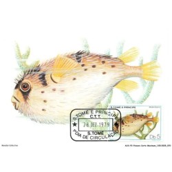 AUXP2-0090-POISSON-CARTE-MAXIMUM - STOME E PRINCIPE - DIODON HYSTRIX