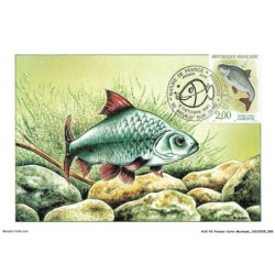 AUXP2-0104-POISSON-CARTE-MAXIMUM - RUTILUS RUTILUS - GARDON