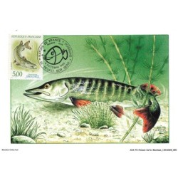 AUXP2-0100-POISSON-CARTE-MAXIMUM - ESOX BUCIUS - BROCHET