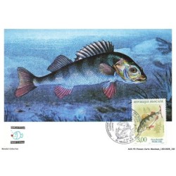 AUXP2-0106-POISSON-CARTE-MAXIMUM - PERCA FLUVIATILIS - PERCHE